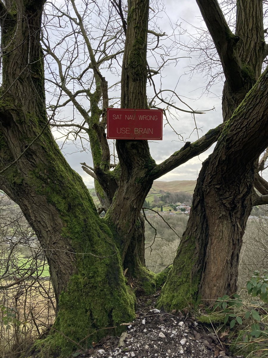 LittleEMac's tweet image. I bloody love the North 😂

#Walking #Hills #UseBrain