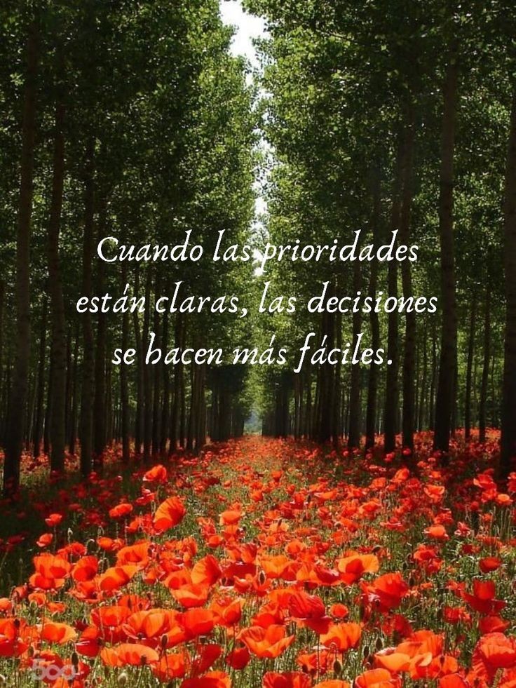 Namaste_Mandala's tweet photo. https://t.co/tVTS0kYIjO