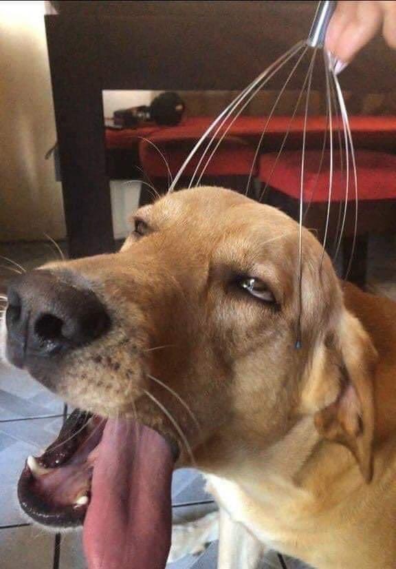 ordure (@ordurebizarree) on Twitter photo 