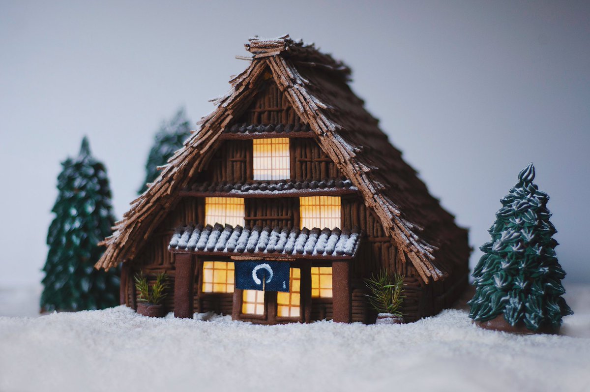 I made a gingerbread house! It's my first time so I'm so happy