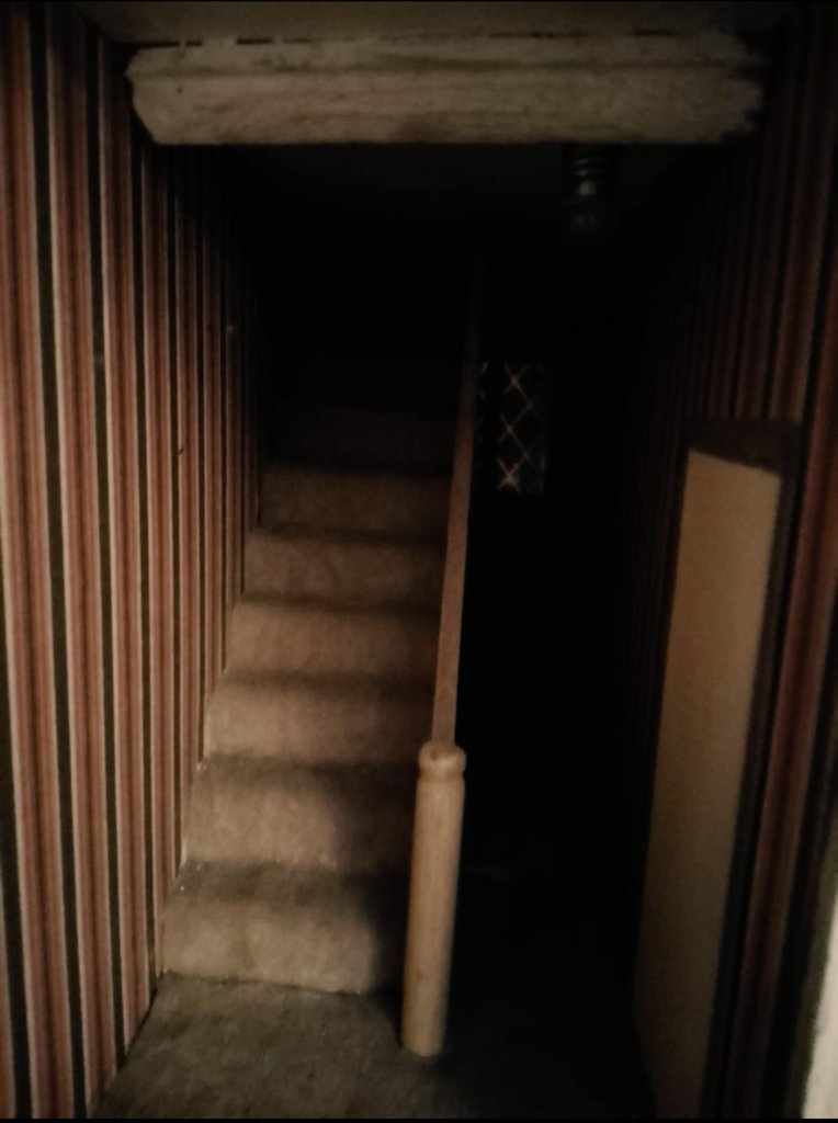 Michelle tweet media