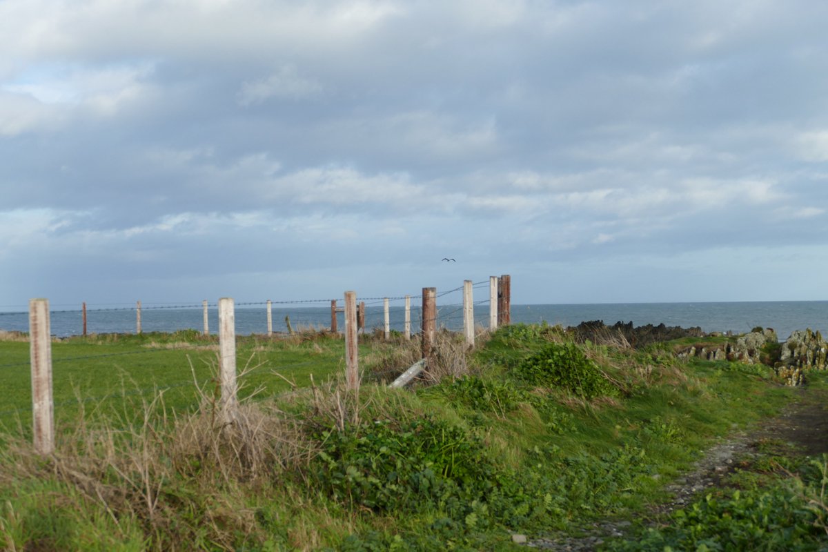 1karenmooney's tweet photo. Lovely walk at #Kearney till the dark clouds appeared.
#PeninsulaPause #ArdsPeninsula https://t.co/LsRdola8QQ