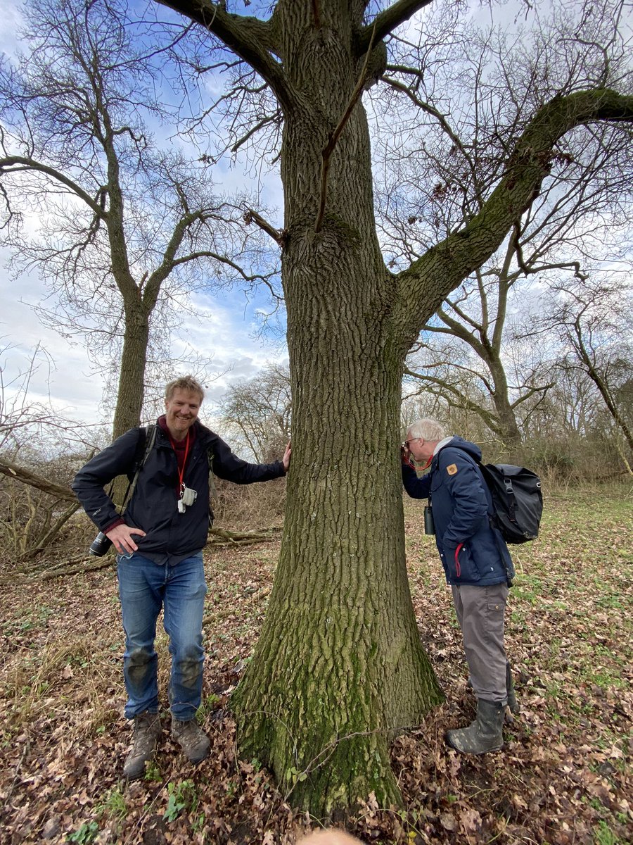 Vandaag op zoek geweest naar korstmossen in de Millingerwaard. Op deze eik zaten wel 18 soorten. Erik en Marcel brachten ze op naam. #soortenjaar #geldersepoort
