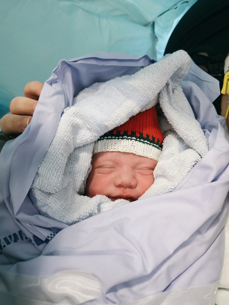 Phillip Rasmussen tweet media