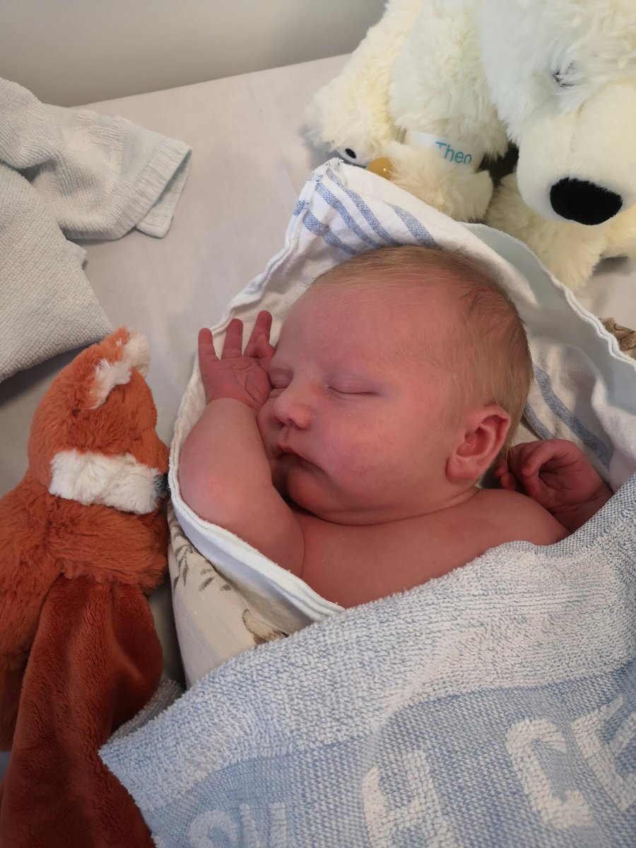 Phillip Rasmussen tweet media