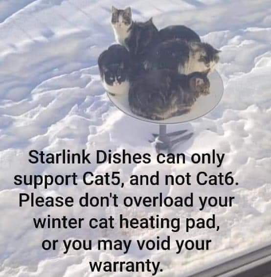 Beth Martel FM Agronomy🏴󠁧󠁢󠁷󠁬󠁳󠁿🇨🇦🌾 tweet media