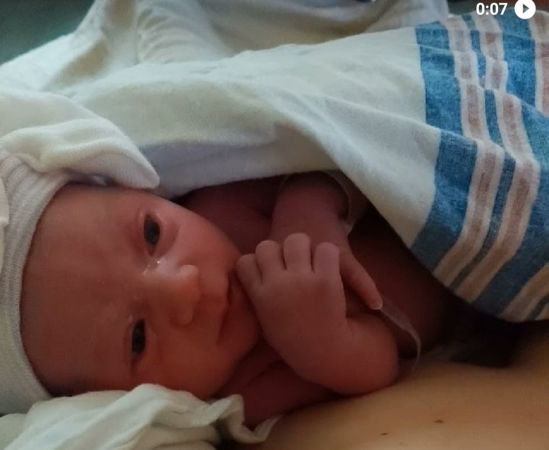 Friede Lundell tweet media