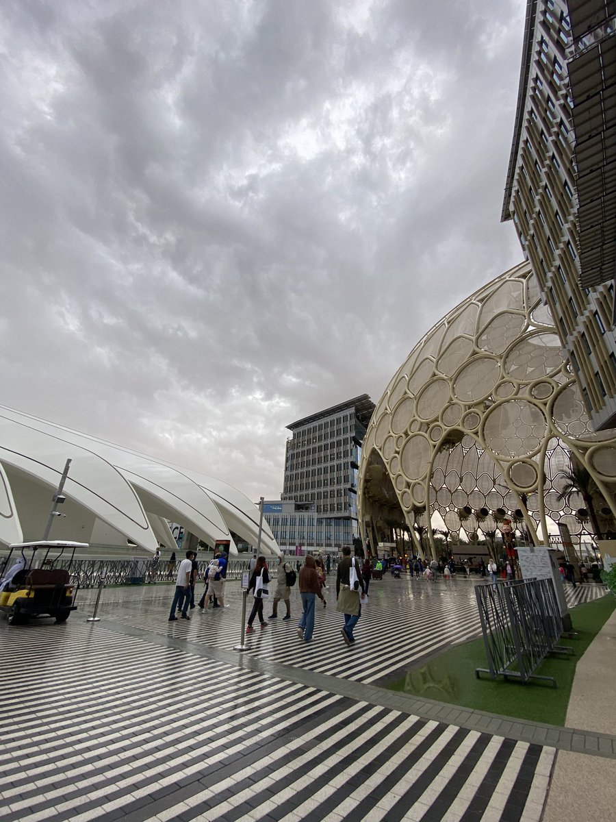 محمّد tweet media