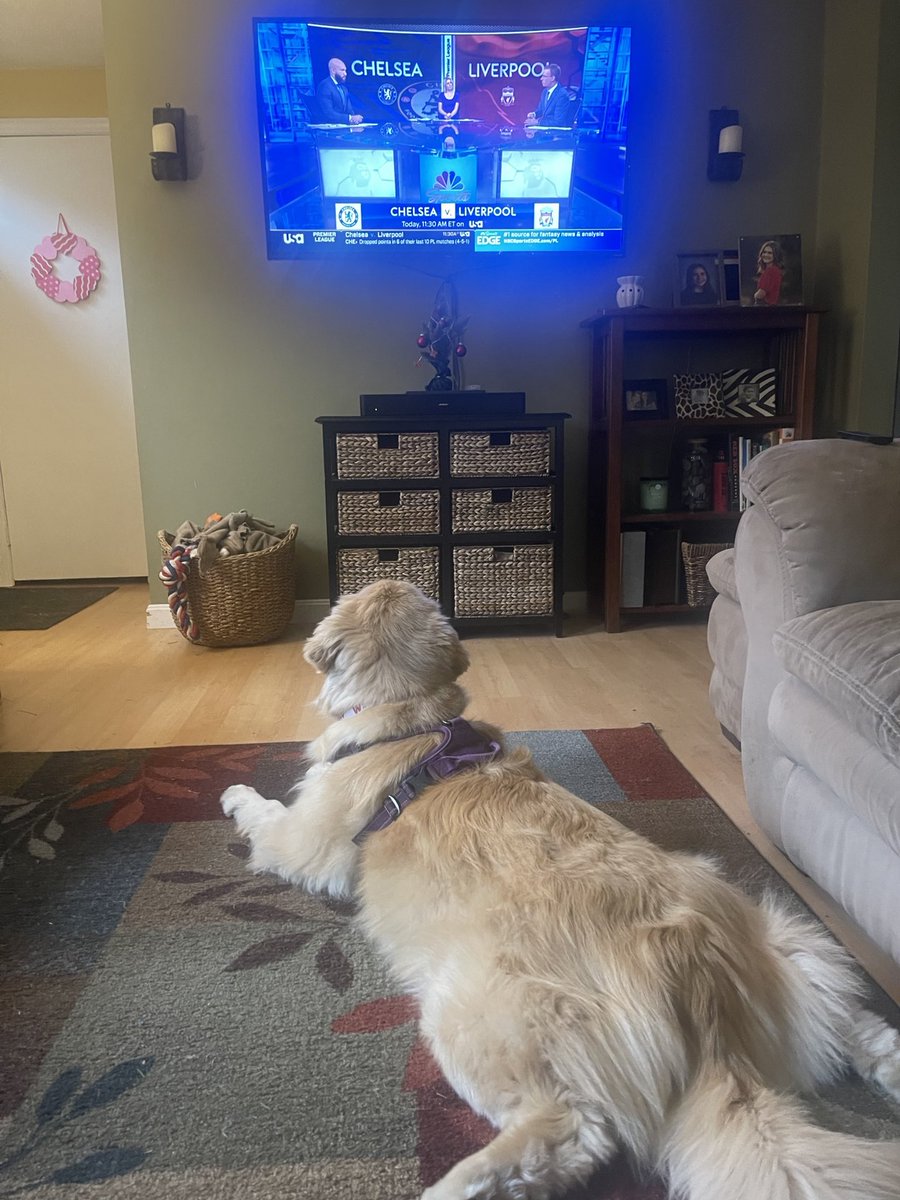 bostonducks's tweet photo. #MyPLMorning https://t.co/uGMYSmN9MM