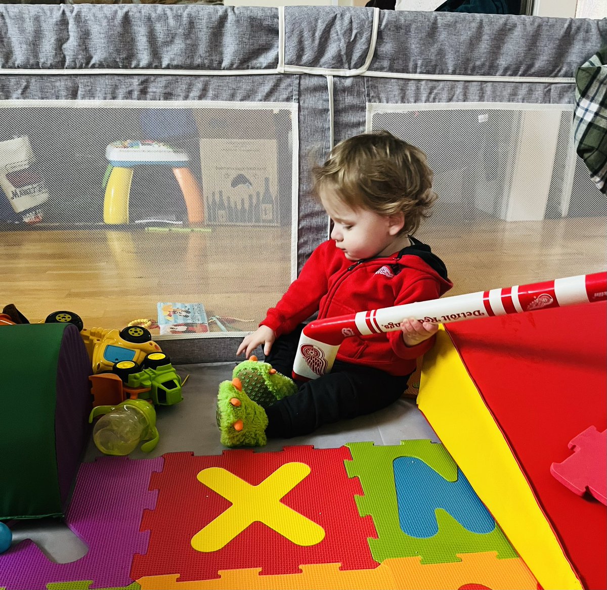 He is ready! #LGRW <a href="/DetroitRedWings/">Detroit Red Wings</a>