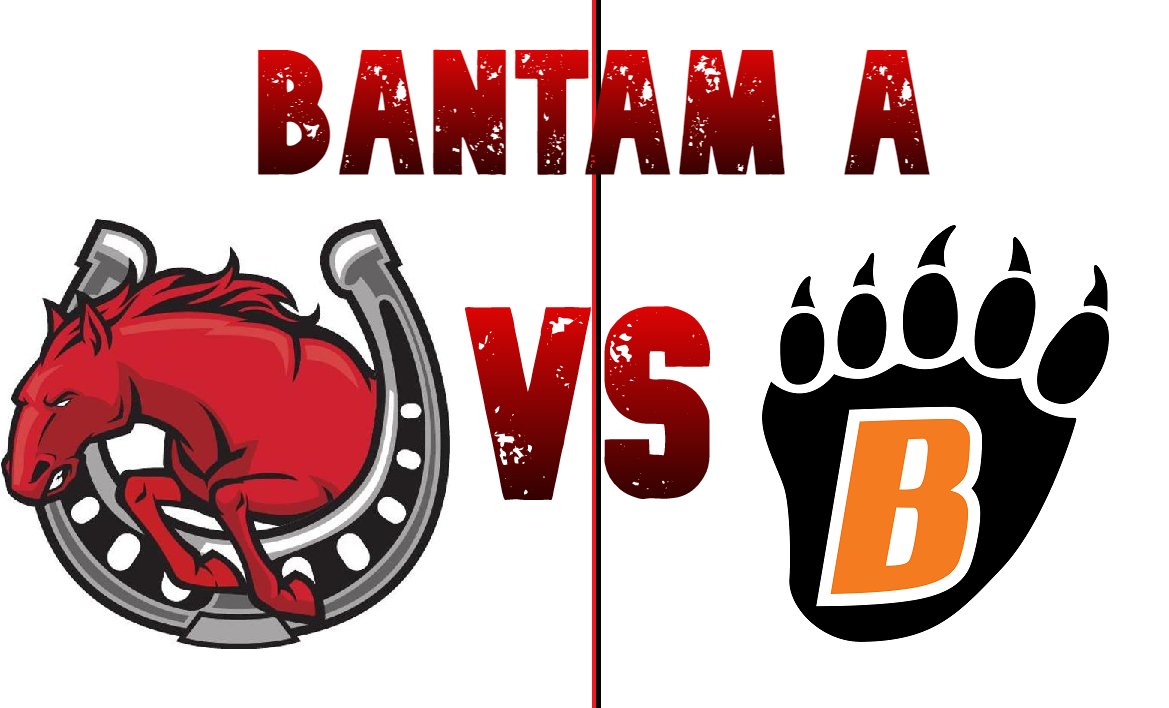 Stillwater Bantam A tweet media