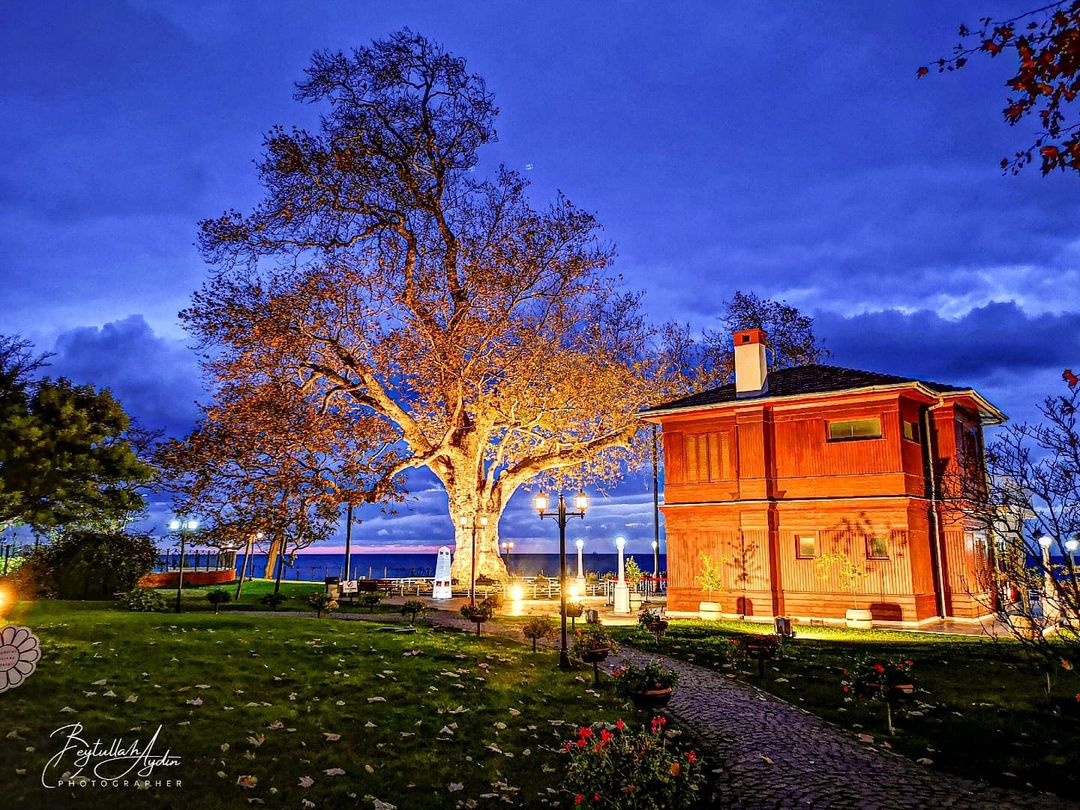 Yalova #Yalova