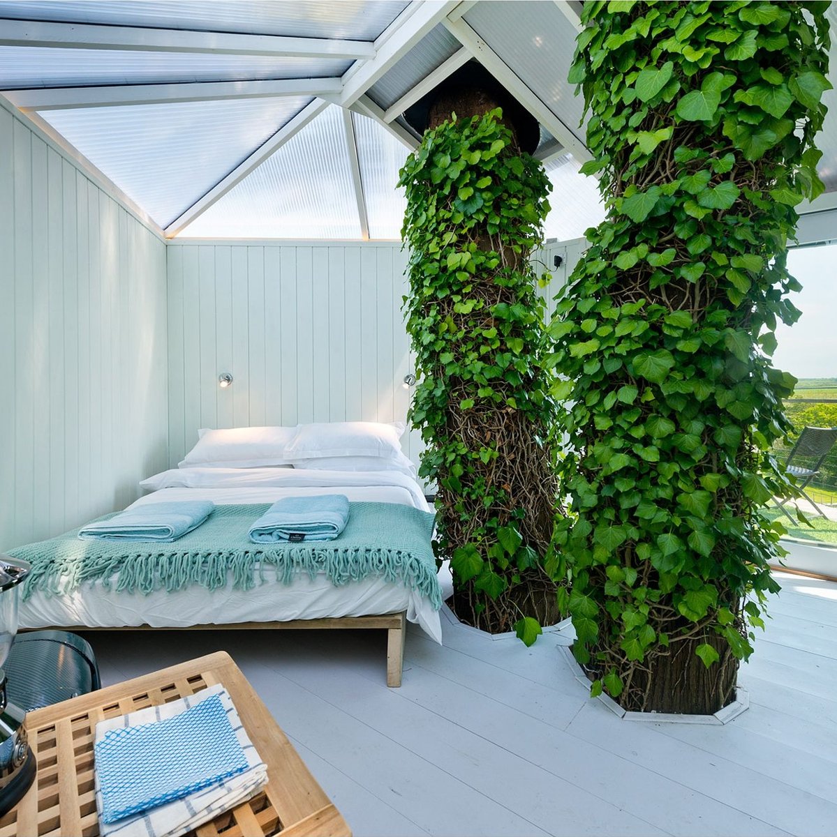 Our most popular searches last year? No surprise that people were dreaming of treehouses &amp; inventive escapes. Love this 📸 of an ivy-clad trunk growing through a bedroom in Cornwall. Sea views from the treetops anyone?

🗓 Still availability this year: bit.ly/3bTWVwL