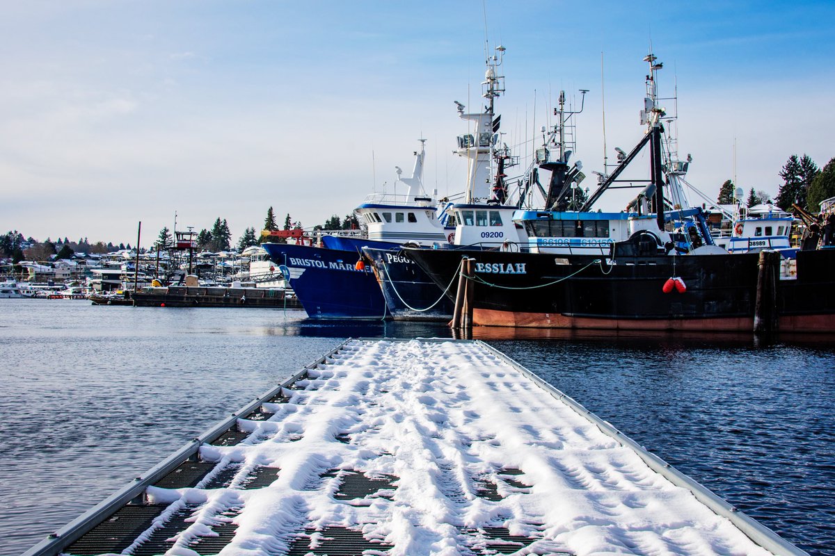 Equal Motion tweet media