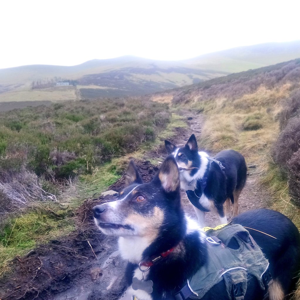 Nell & Jess tweet media