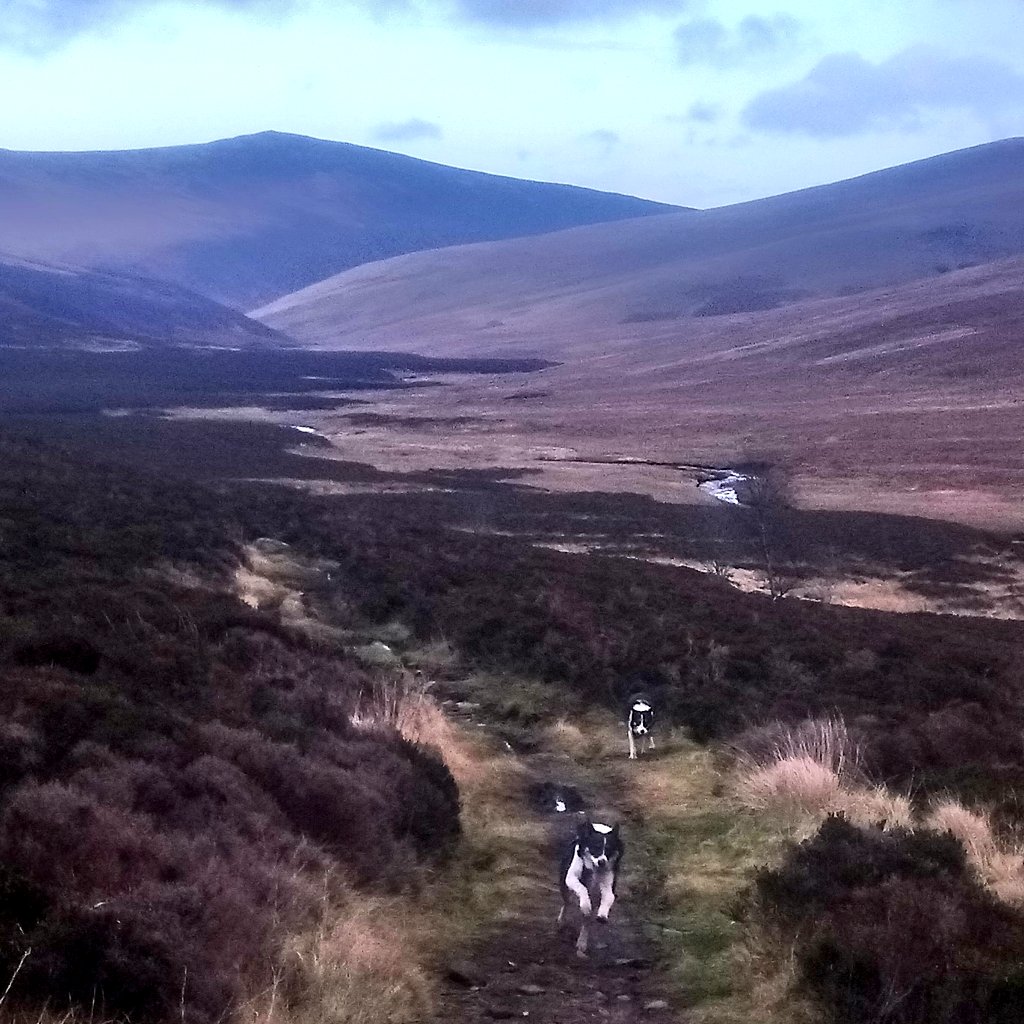 Nell & Jess tweet media