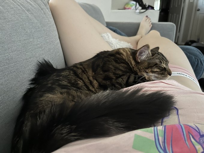 Happy New year, cheers to a new one! 🥳🎉 https://t.co/ByaKiZOTGr<a href="/tag/mvsales"class="tags"><span>#mvsales</span></a><a href="/tag/mvtrans"class="tags"><span>#mvtrans</span></a>