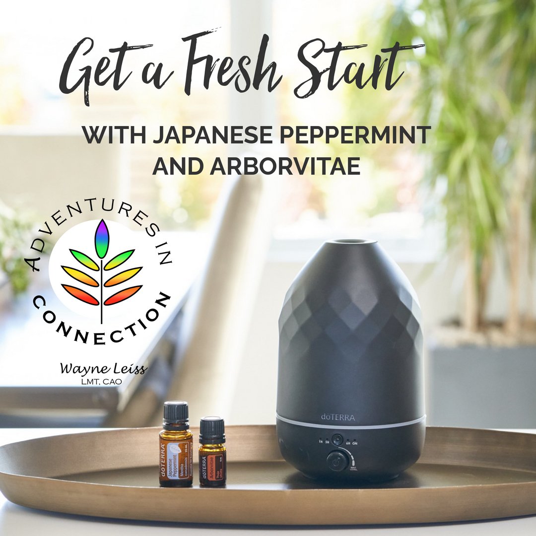 doTERRA  ドテラ アロマディフューザー ドテラ ペブルディフューザー - doTERRA TIMES