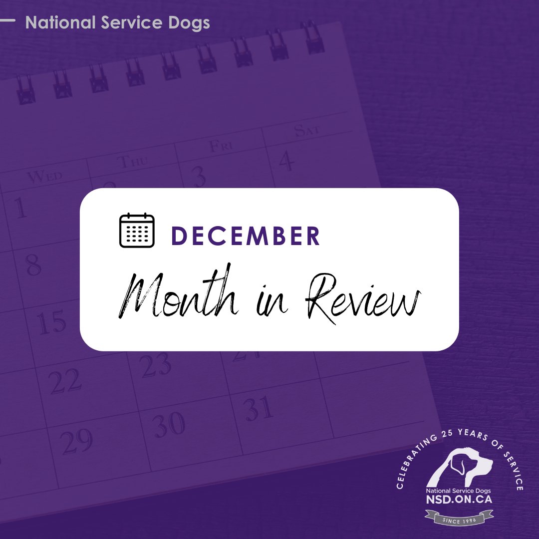 December Pupdates 
Check out the all the December updates on our 'Dogs in Training' page: bit.ly/381J99T  

⚪NSD Mocha has started at NSD University.
⚪NSD Kierlin and NSD Bolt joined us from PADS. 
⚪NSD Webber joined our program from Dogs with Wings.