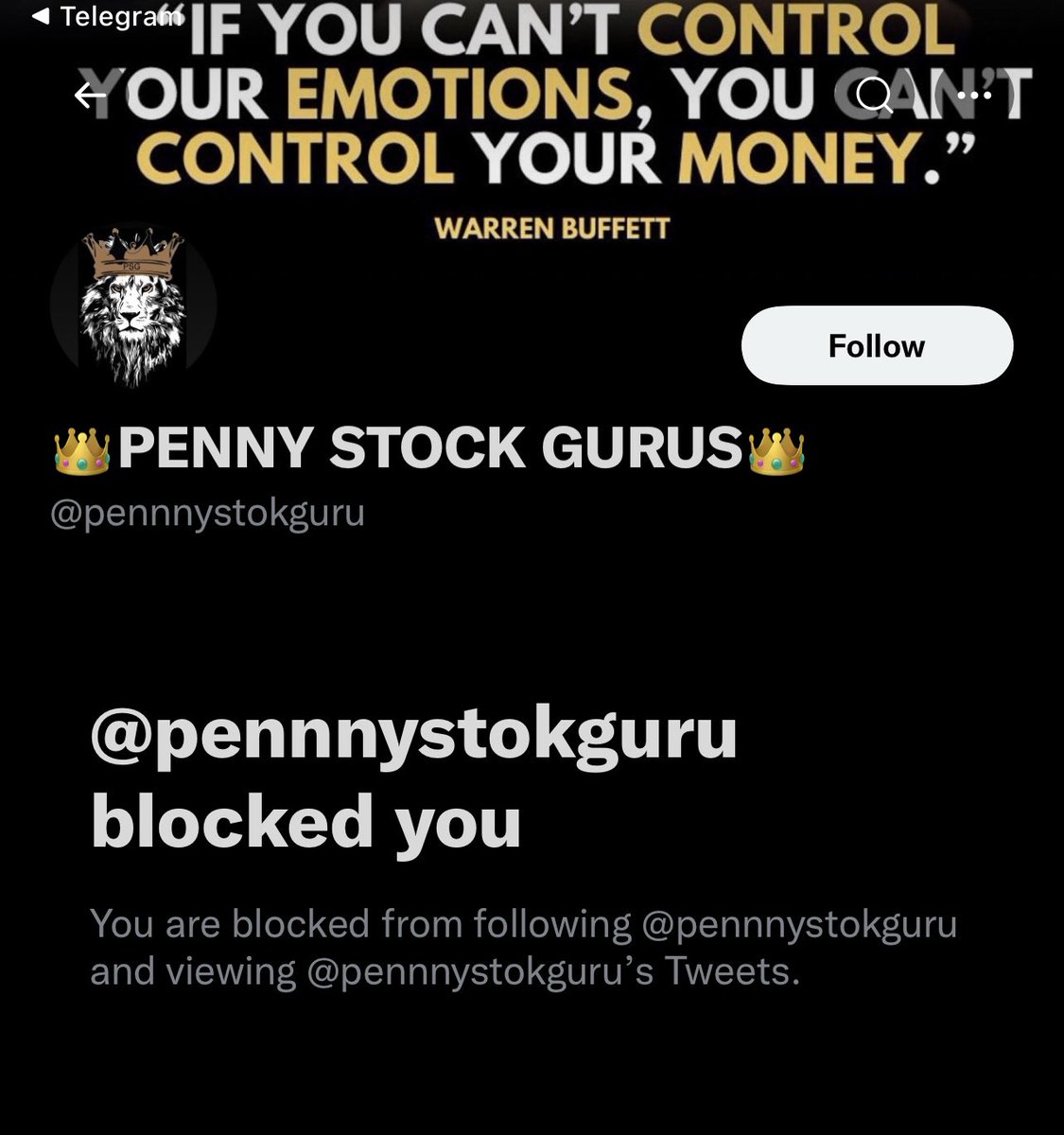 👑PENNY STOCK GURUS👑 tweet media