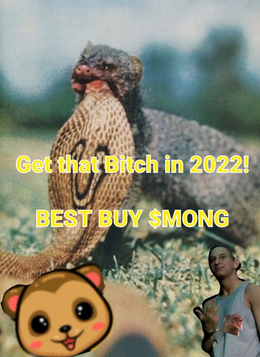 ShaneWilfon's tweet photo. @vinrock_ @BoredApeYC @FurballsNFT @KaijuKingz @thelittlesnft @bears_deluxe @TheDogePoundNFT @FungibleFungi https://t.co/iu4VqpuzGn