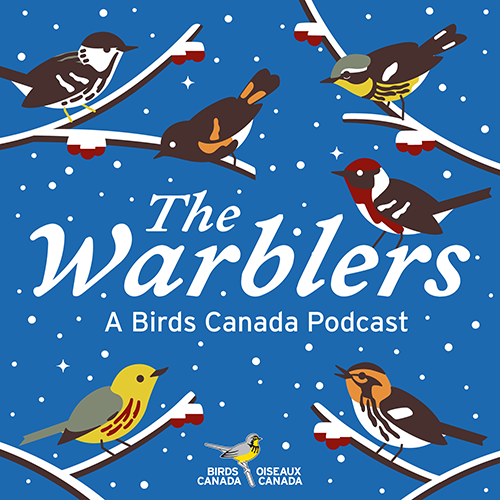 BirdsCanada's tweet photo. In one of our favourite #WarblersPodcast episodes of 2021, Ojibwe Knowledge Keeper Joseph Pitawanakwat joined us to talk about how birds are named in Ojibwe and some of the teachings and gifts they share with us. If you missed it - check it out! https://t.co/tlO8A8WIdg https://t.co/WofFNbCjIc