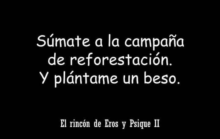 Aaron Recinos (@aaronrecinos) on Twitter photo 