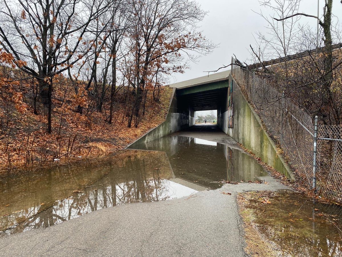 LeeToma's tweet photo. @davabel Here are some views of the king tide / storm flooding in Dorchester this morning: https://t.co/9MlQ42XkH2