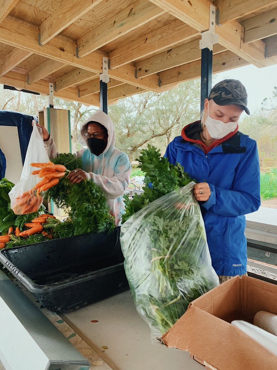 AlgiersProud's tweet photo. Cheers to 2022, y'all! 🎉 Our first community food boxes of the new year went out today with @sugarrootsfarm - and were delivered to senior citizens across Algiers! 🥬🥕🥚 Let's continue to make Algiers proud this year! ⚜️❤️ #AlgiersProud #SugarRootsFarm #MutualAid #NOLA https://t.co/mxxdInalCf