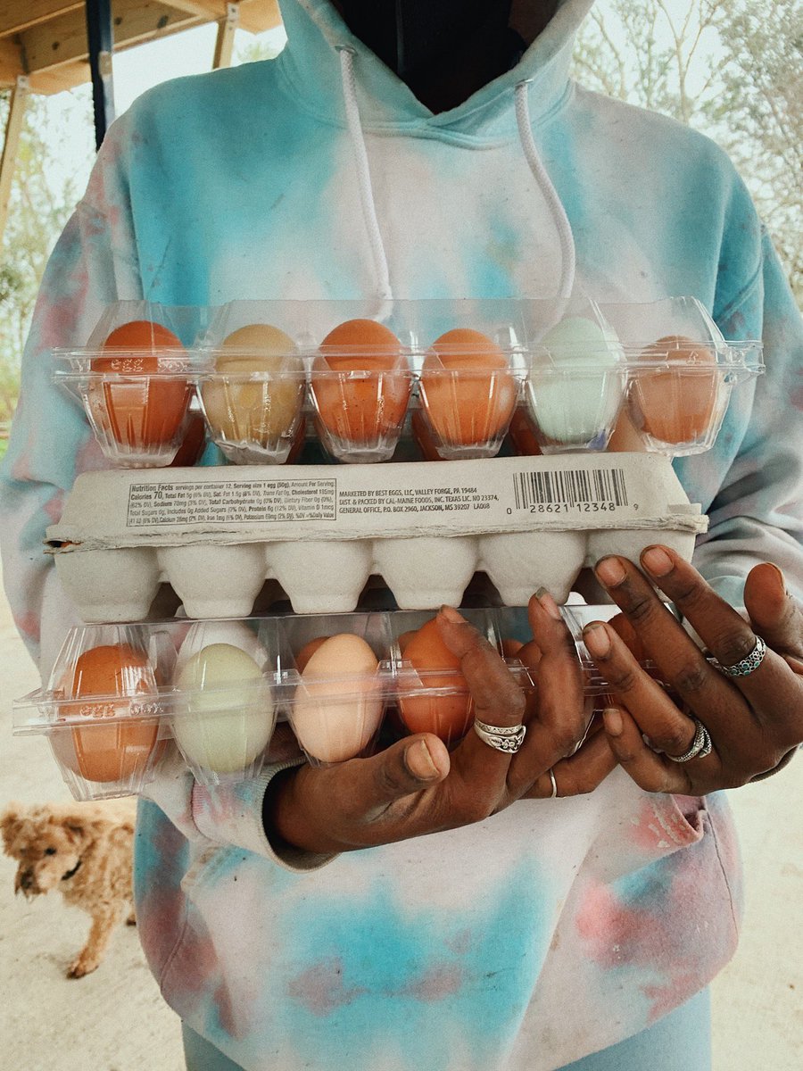 AlgiersProud's tweet photo. Cheers to 2022, y'all! 🎉 Our first community food boxes of the new year went out today with @sugarrootsfarm - and were delivered to senior citizens across Algiers! 🥬🥕🥚 Let's continue to make Algiers proud this year! ⚜️❤️ #AlgiersProud #SugarRootsFarm #MutualAid #NOLA https://t.co/mxxdInalCf
