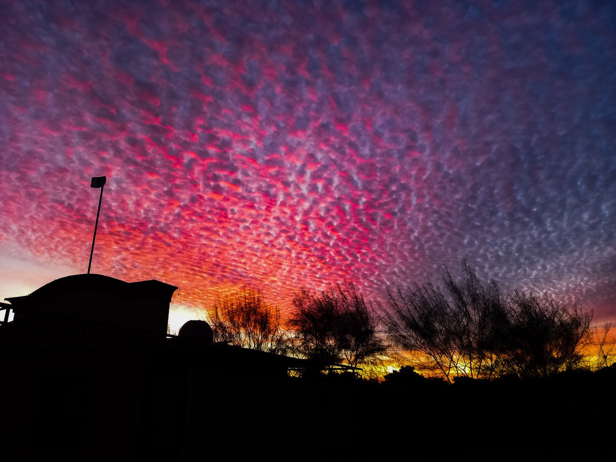 OmarNieblasblog's tweet photo. #tardes del mes de #enero en cd. Obregón https://t.co/qjIMH9IrkS