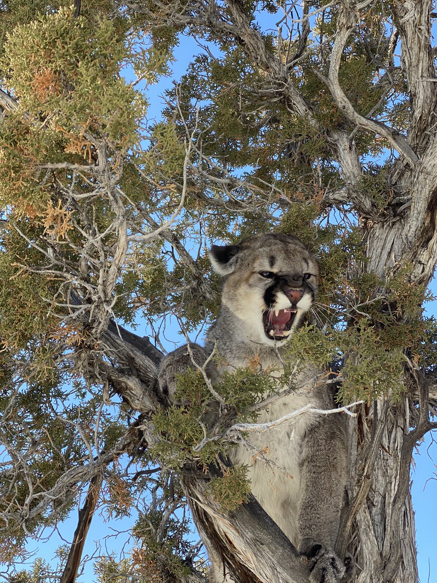 ✨sprinkles✨-<a href="/KonnerMorrill/">Konner Morrill</a>