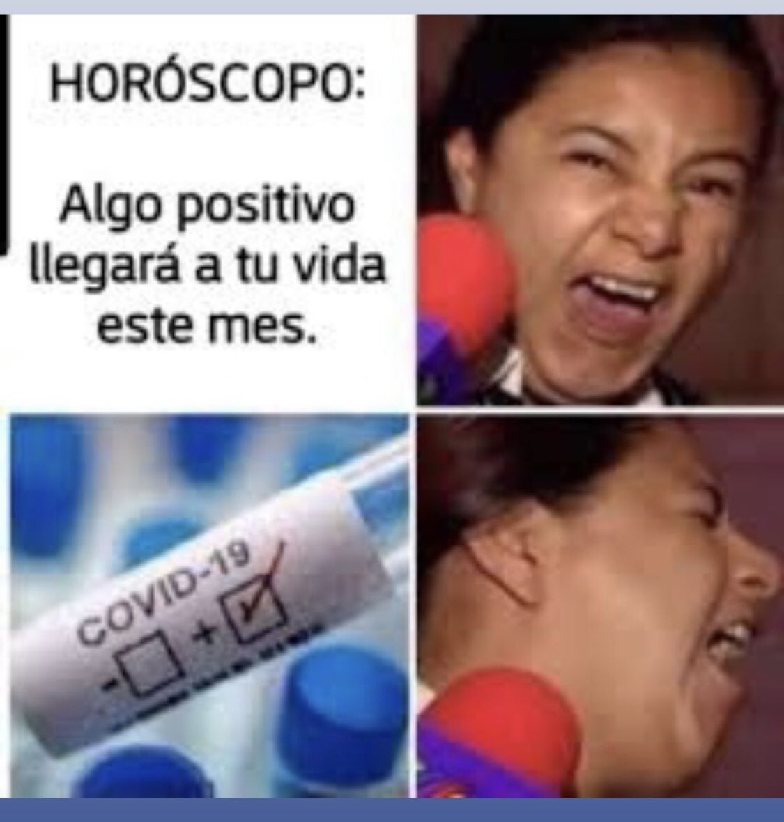 chimichein's tweet photo. Arrancando la licencia, covid positivo  #thisisfine https://t.co/0bmZxMwBOT