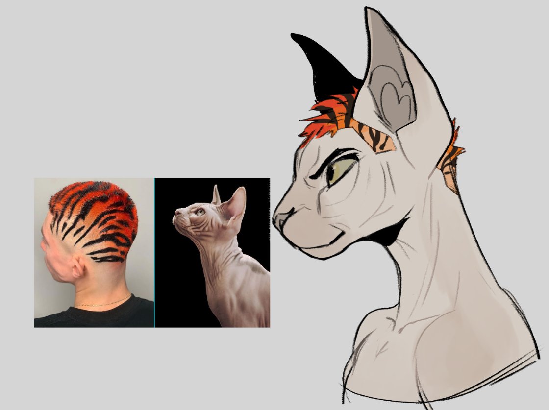 Bernardo Bechelli🏳️‍⚧️🇧🇷ARFF2026✈️🇦🇷 tweet media