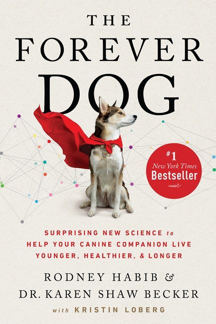 From powerful personal stories to helpful guides, these four 2021 bestsellers from <a href="/Puglaas/">Jody Wilson-Raybould (JWR), PC, OBC, KC 王州迪</a>, <a href="/foofighters/">Foo Fighters</a>, <a href="/KalebDahlgren/">Dr. Kaleb Dahlgren</a>, and <a href="/RodneyHabib/">Rodney Habib</a> and <a href="/drkarenbecker/">Dr. Karen Becker</a> are sure to inspire, inform, and delight.