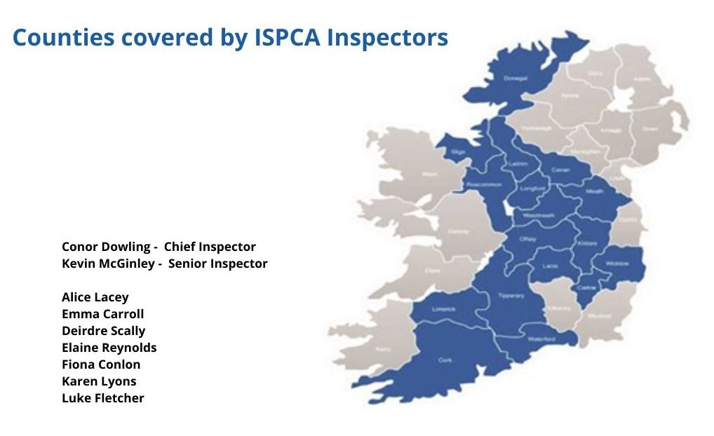 DoBetterDD's tweet photo. @ISPCA1 Inspectors have seized or had surrendered to them more than 620 dogs in 2021, over 300 of which have come from illegal dog breeders.
@McConalogue why we only have 9 ISPCA inspectors in 16 counties?
25 counties 60k each = €1.5 million #EnoughLipService https://t.co/VwReLnmsJe