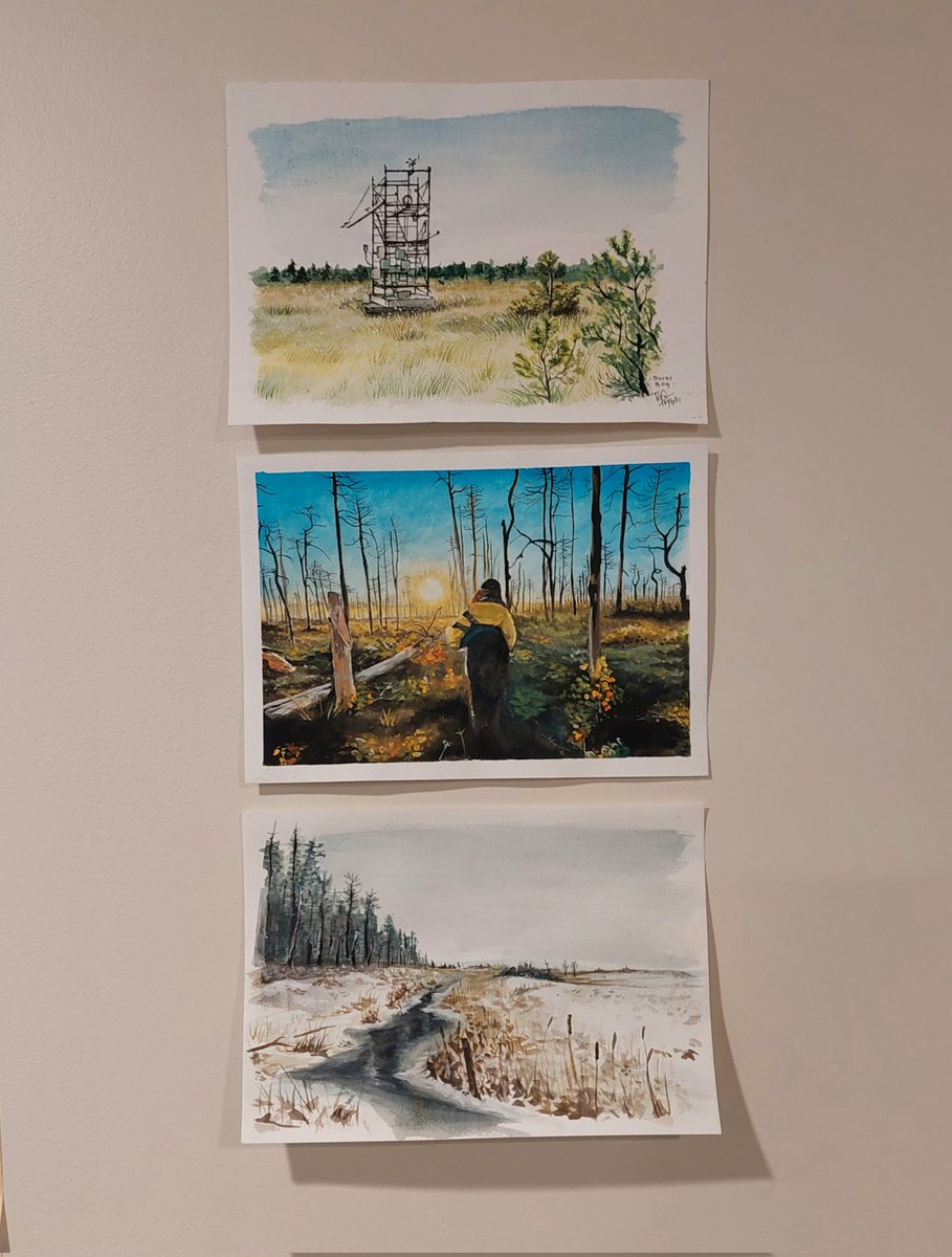 Burns Bog spring-winter 2021, featuring the flux tower and the post-fire site. Happy new year!