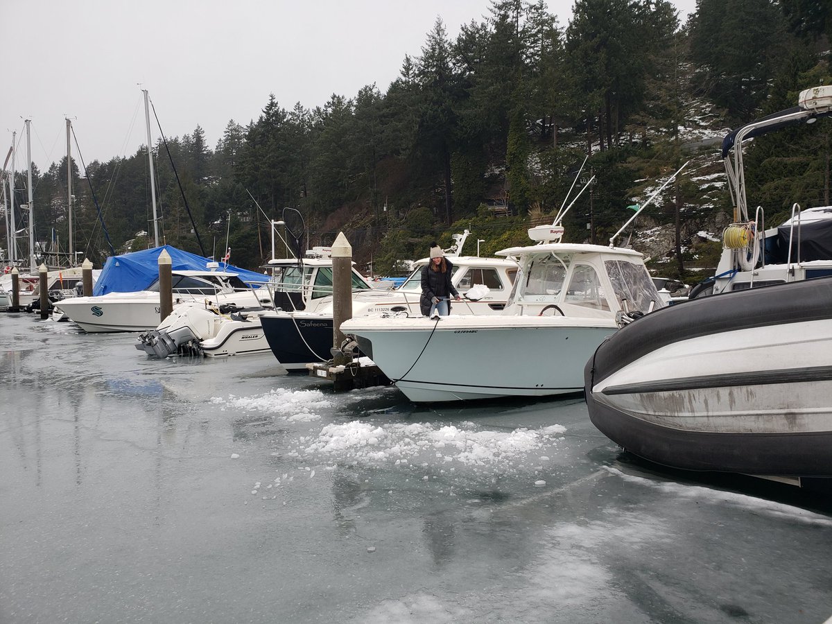 Salmon Charters tweet media