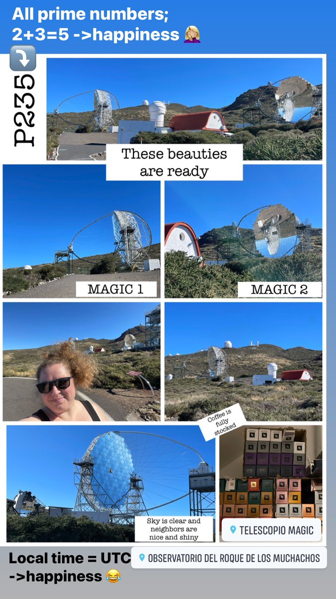 Jelena Striskovic tweet media