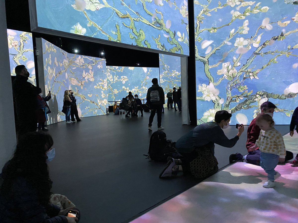 Lisa Street tweet media