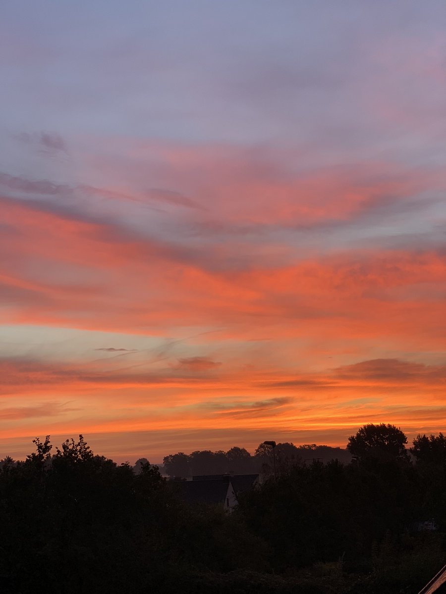 adL tweet media