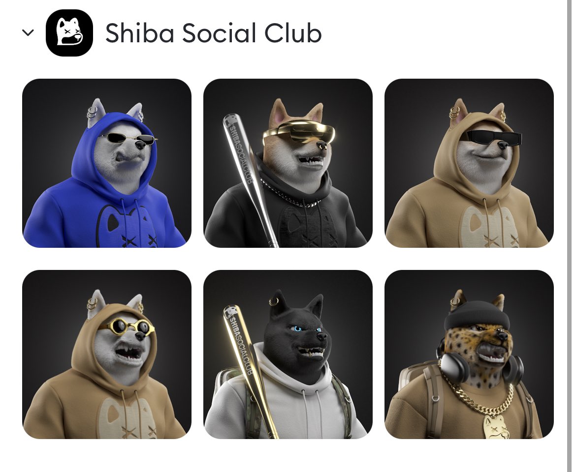 NomadRyGuy's tweet photo. NEVER LISTED. @Shibaclubnft #shibasocialclub https://t.co/4LVTIkOEcV