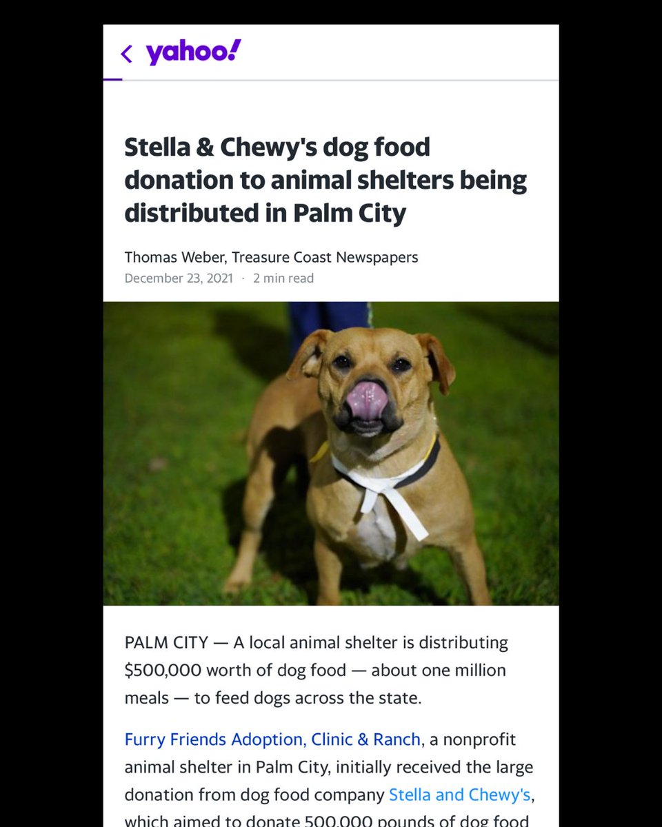 News of our massive donation &amp; distribution made it to Yahoo News! The pandemic hit animal shelters hard, people are struggling so shelters receive less donations and with evictions on the rise they may be taking in more animals than usual.

Full article: t.ly/w4k6