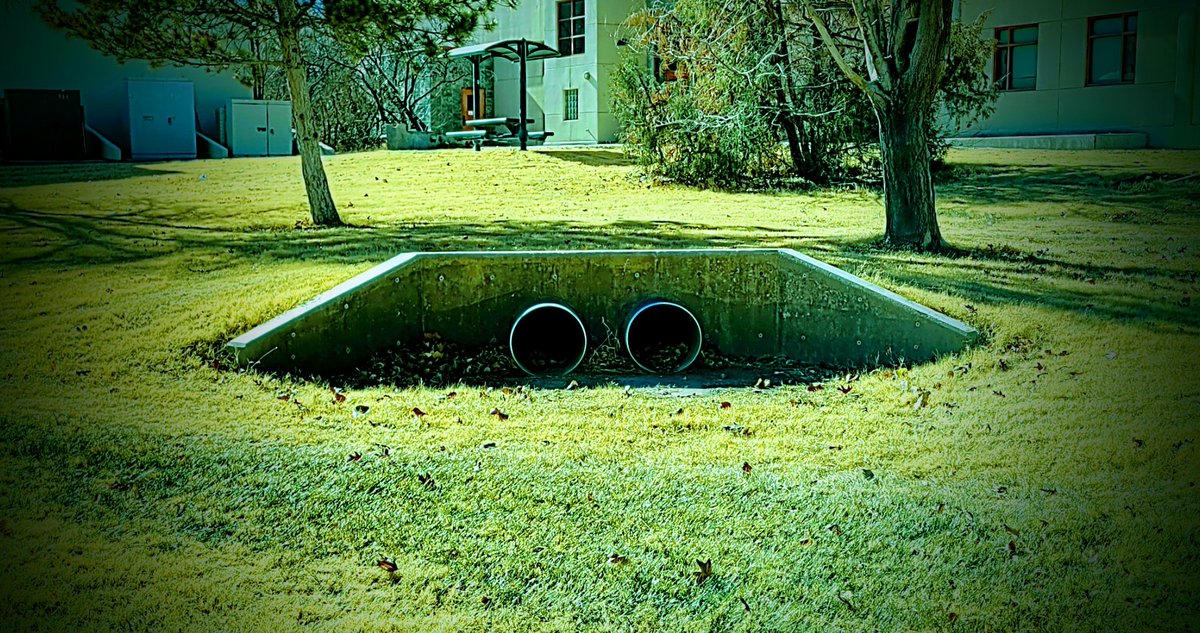 Yoda spotted at the <a href="/newmexicotech/">New Mexico Tech</a> campus