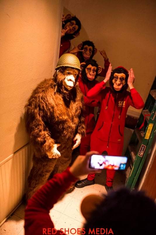 RealJoelMaximo's tweet photo. #SpotMonkeys https://t.co/pHcvNtVv9K