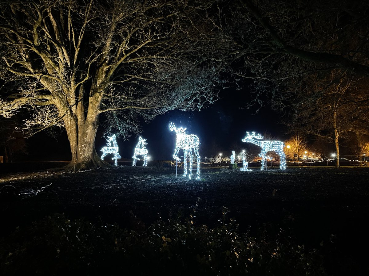 enfieldonline's tweet photo. Last of the Christmas nights, @johnstownestate Enfield, Meath. https://t.co/wauzDTluzn
