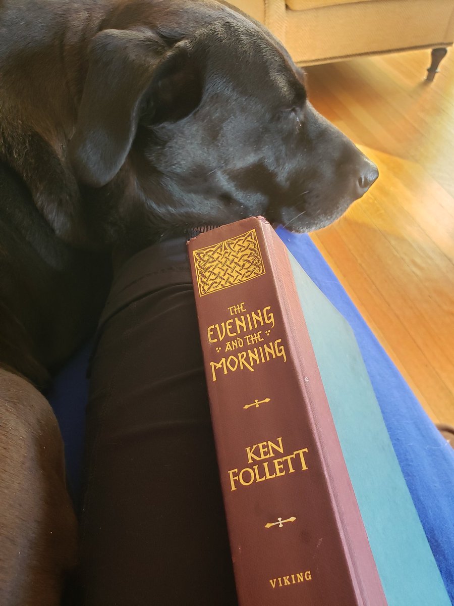 KatGirod's tweet photo. Another masterpiece! Thank you @KMFollett for your consistent excellence. https://t.co/MERufwnAiY