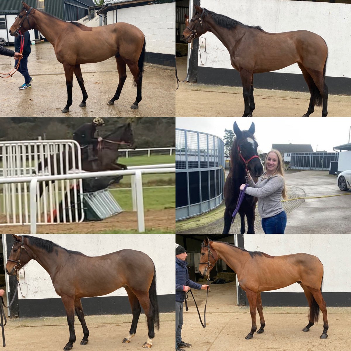 Keri145's tweet photo. 5 to get on a plane back to 🇺🇸 and one to grow up and learn the ropes here for a bit longer 😍 And I might not be completely done yet….the support from my owners on this shopping trip in 🇮🇪 has been incredible… 2022 is going to be exciting 🤩🤩 https://t.co/01PzOvLd8Y
