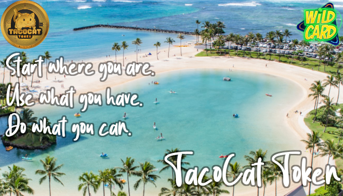 $TCT @wildcardp2e can't wait to play #wildcardgame !! Bullish !! Do what you can, with what you have, where you are. Bullish!! #BlueChipTaco #Pancakeswap