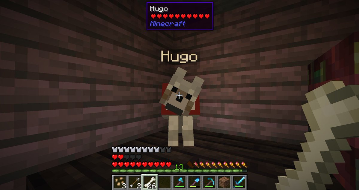 cewkdaddy's tweet photo. I got my first pet on my Minecraft server!! His name is Hugo he is a wolf and I love him!

No, I didn't know how to use a name tag at first 😅

#Minecraft #minecraftwolf #minecraftpet #MinecraftServer #gaming https://t.co/icP0eQS2i2